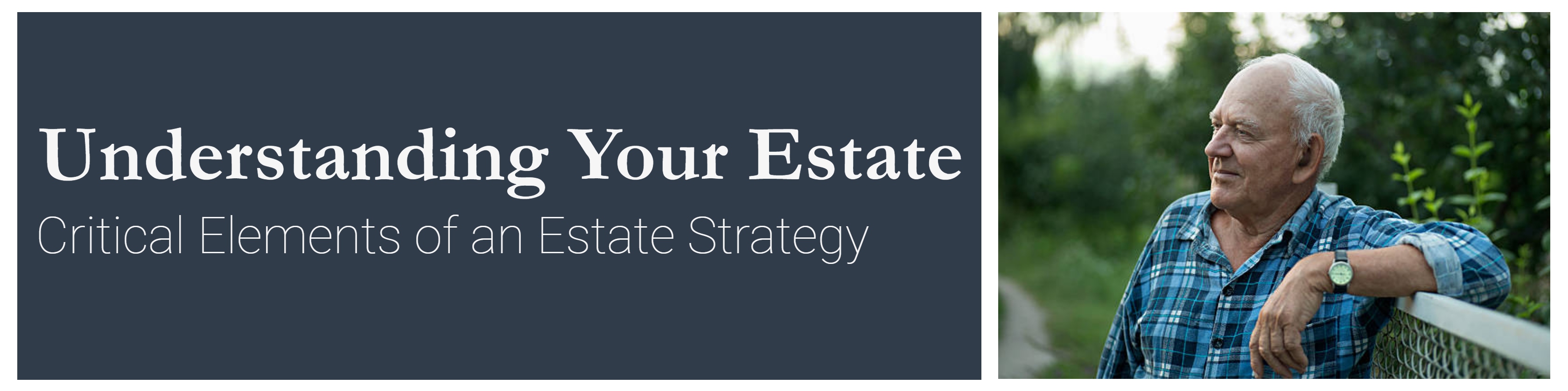 Understanding Your Estate: Critical Elements of an Estate Strategy 